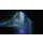 Switch Ghost Song - 1135162 - zdjęcie 6